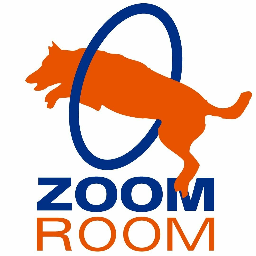 zoom-room-2022-franchise-disclosure-document-vetted-biz